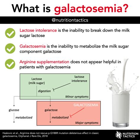 What Is Galactosemia