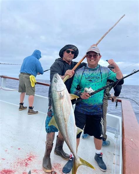 Independence Fish Report Yellowtail Continues On The Indy June 4 2023