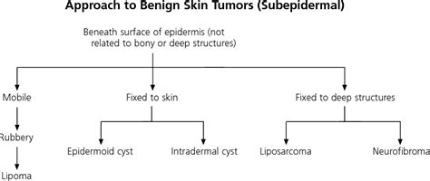 Figure 2 From Common Benign Skin Tumors Semantic Scholar