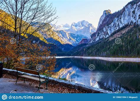Beautiful Gosausee Lake Landscape With A Bench Forest