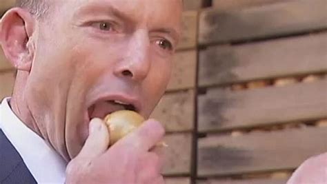 Tony Abbott Eats Another Onion This Time In Tasmania News Com Au Australias Leading News Site