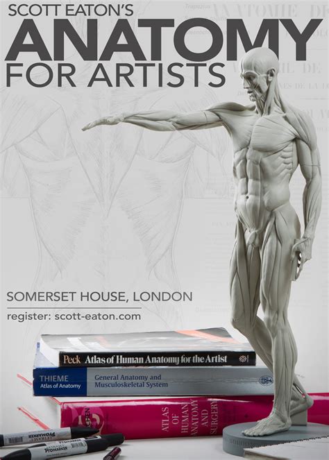 Anatomy For Artists A Visual Guide Get More Anythink S