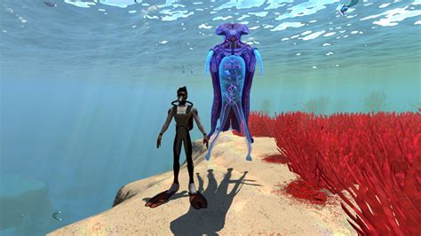 Image Size Comparison With The Player 0 Subnautica