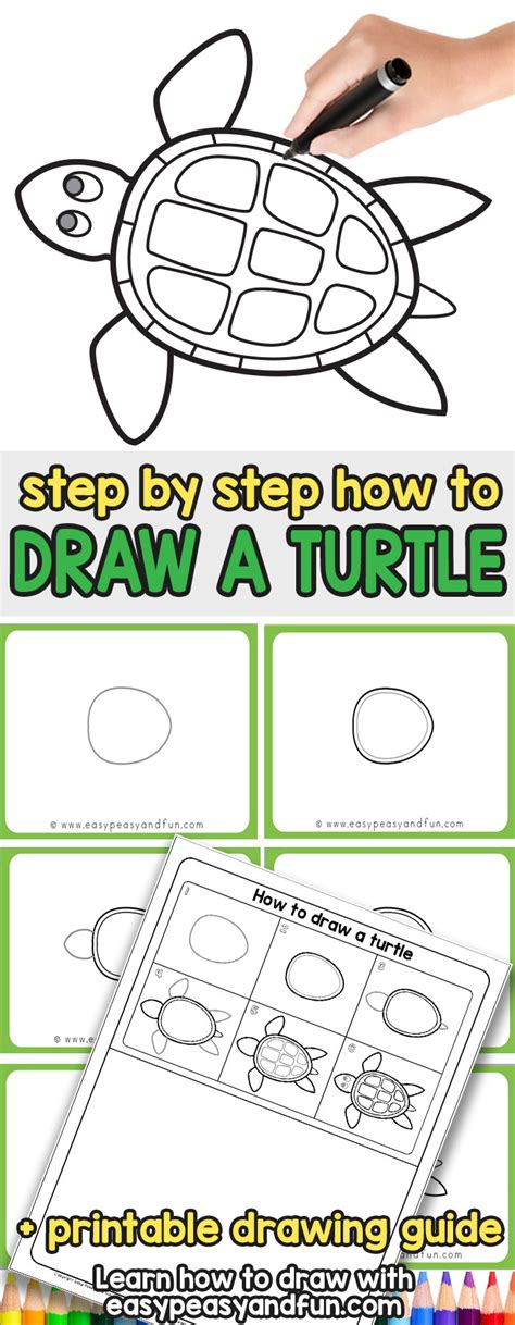 How To Draw A Turtle Step By Step Drawing Tutorial Ôn Thi Hsg