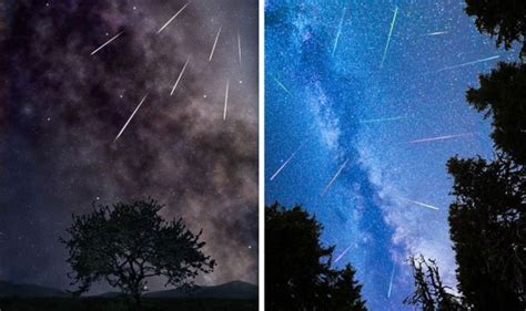 Meteor Showers 2019 How Many Meteor Showers Are This Year Perseids