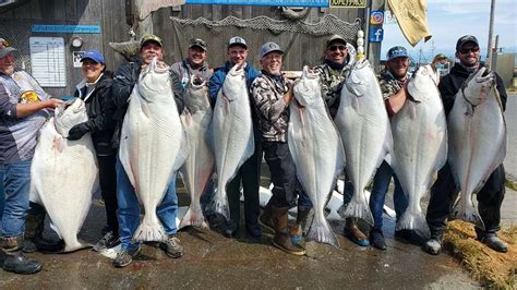 Big Dans Fishing Charters And Riverfront Lodge Homer And Kenai