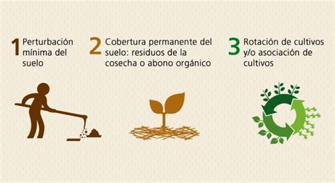 Cinco cosas que debes saber sobre la agricultura de conservación Event