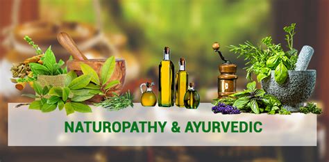 Naturopathy Treatment A Way Of Life For Wellness