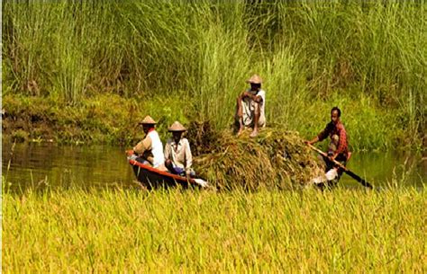 Beautiful Bangladesh Six Seasons In Bangladesh