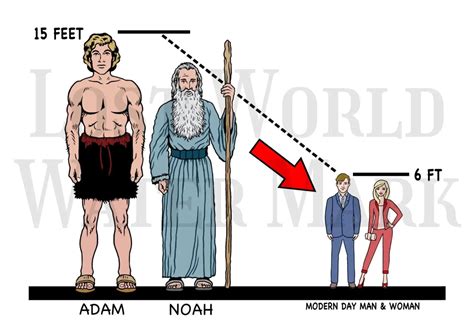 How Tall Was Adam In The Bible Christian Gist