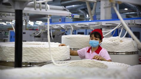 Supply Chains Tainted By Forced Labor In China Panel Told The New York Times