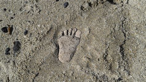 Free Images Beach Nature Sand Rock Walking Texture Footprint