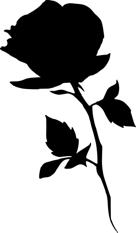 Silhouette Clip Art Rose Outline Png Download 11732000 Free