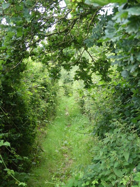 Almost Impassable Restricted Byway © David Pashley Cc By Sa20