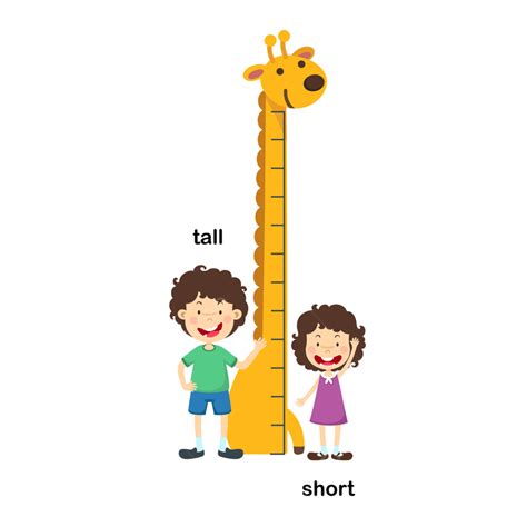 Tall Short Vector Hd Png Images Opposite Tall And Short Vector