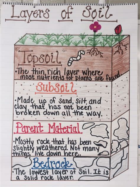 This will improve drainage and moisture retention in the raised beds. Layers of Soil Anchor Chart | Earth science activities ...