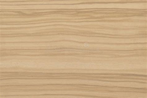 Olive Wood Background Stock Photo Image Of Fibers Frame 215548048