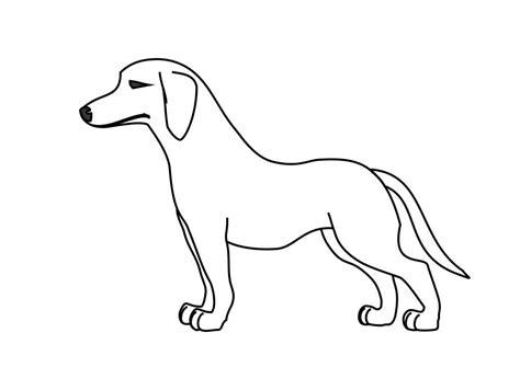 Como Desenhar Um Cachorro
