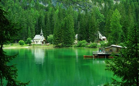 Coniferous Trees Around Green Lake Wallpapers And Images Wallpapers