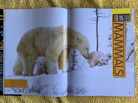 Book Review Animal Encyclopedia 2nd Edition By National Geographic