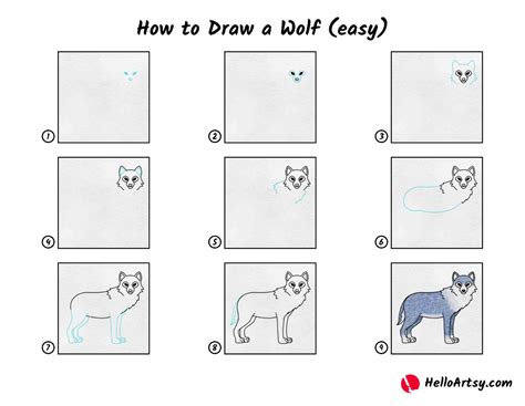 How to Draw a Wolf (easy) - HelloArtsy