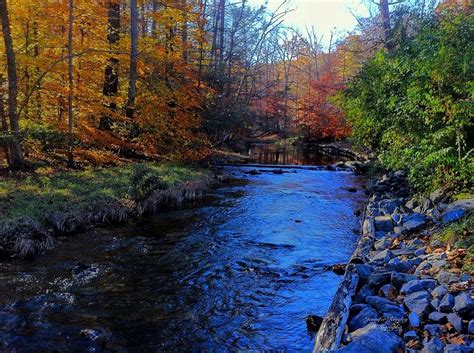 Fall Mountain Stream Photograph By Jennifer Ringley