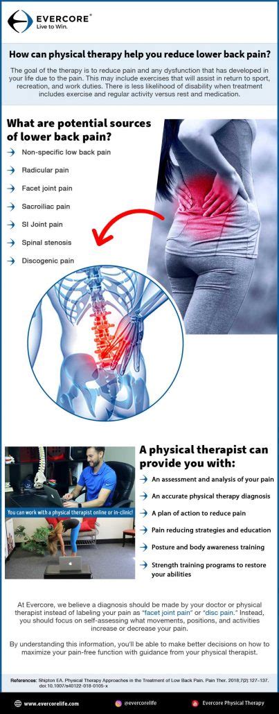 Physical Therapy Lower Back Pain Infographic Evercore Move With A