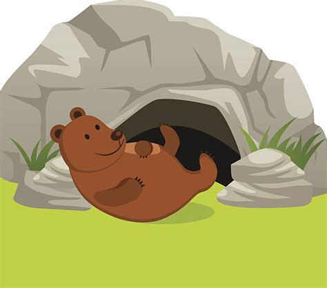 Bear Cave Illustrations Royalty Free Vector Graphics