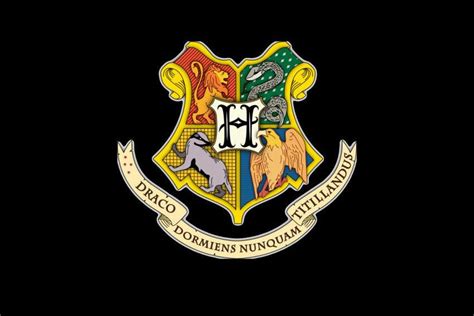 Which Hogwarts House Are You In