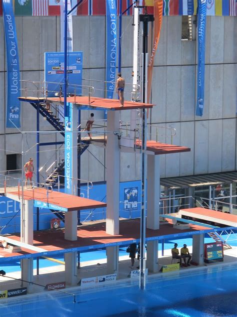 The Different Heights Of Diving Boards At The Olympics Diving Board