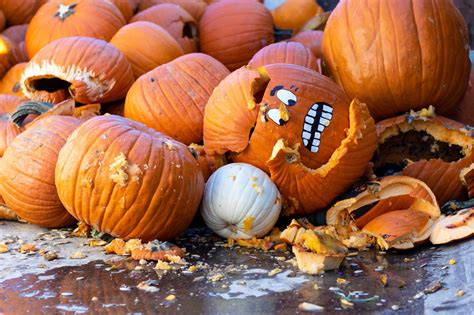 Pumpkin Smash Diverts Over 150 Tons From Landfill Scarce