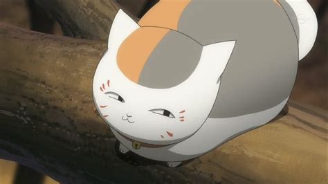 Smug Cat Bitch Smug Anime Face Know Your Meme