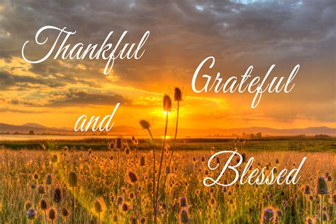 Thankful Grateful And Blessed Quote Wall Signs Popular Right Etsy