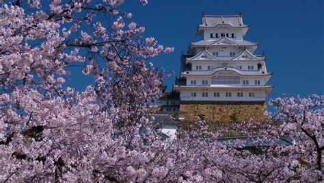 Himeji Castle With Spring Cherry Blossomsthe Most Beautiful Japanese