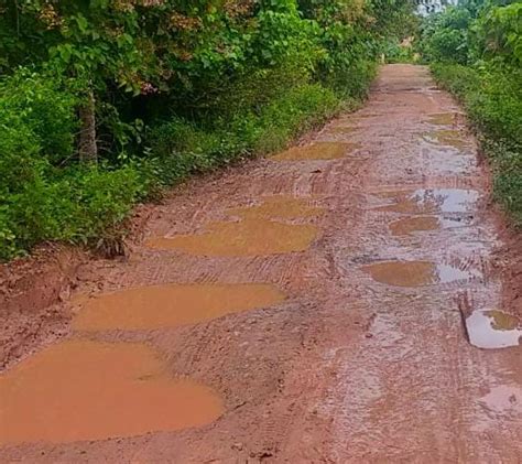 Miris Jalan Becek Sepanjang 3 Km Di Rantau Bayur Banyuasin Wara Pilih Opsi Lain
