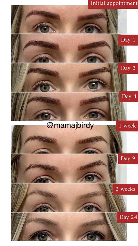 Microblading Healing Day By Day My Experience Permanent Makeup Eyebrows Microblading