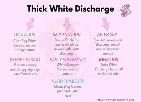 How To Stop White Discharge Before Period Pmjulllb