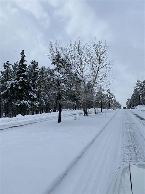 Driving the backroads in Flagstaff today. It’s a beautiful day! The