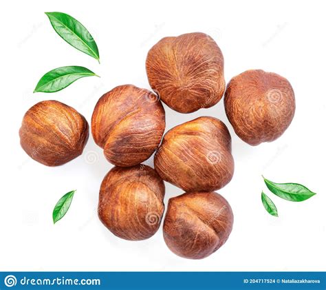 Hazelnuts With Green Leaves Isolated On White Background Hazelnuts Top