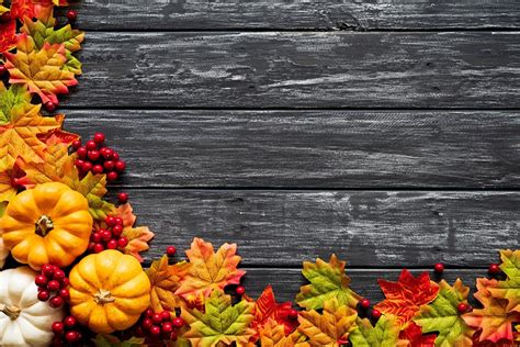 Photos Foliage Maple Autumn Pumpkin Boards Leaf Acer Wood Planks