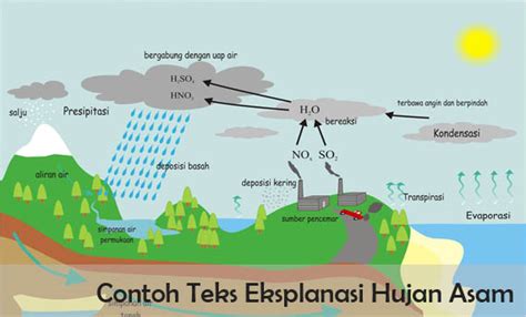 5 Contoh Teks Eksplanasi Hujan Asam beserta Strukturnya ...