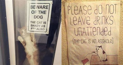 22 Funny Beware Of Cat Signs To Be Taken Seriously
