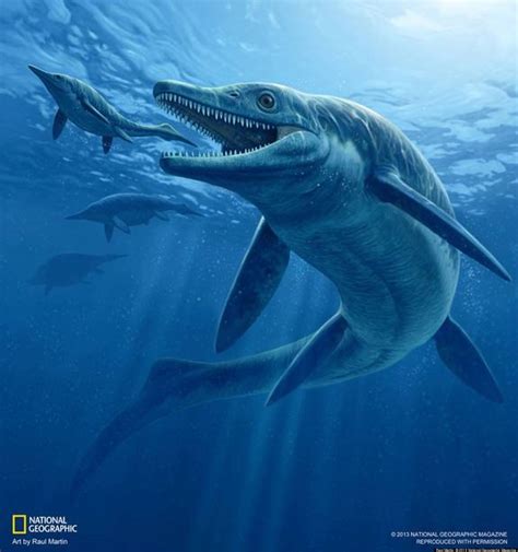 Ichthyosaur Fossil Spotlights Ancient Sea Monster Worlds Recovery