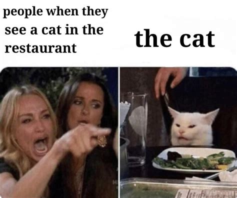 Cat In A Restaurant Rantimeme