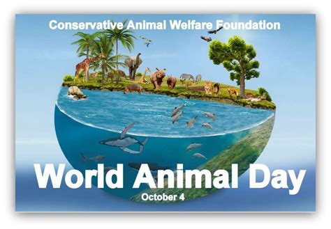 World Animal Day Cawf