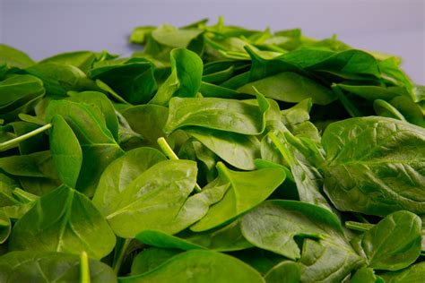 National Fresh Spinach Day Interesting Thing Of The Day