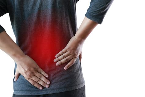 Causes Of Low Back Pain Orthopedic Associates Of West Jersey Pa