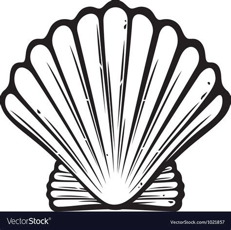 Seashell Royalty Free Vector Image Vectorstock