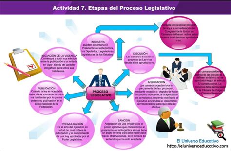 Etapas Del Proceso Legislativo Mapa Mental Porn Sex Picture