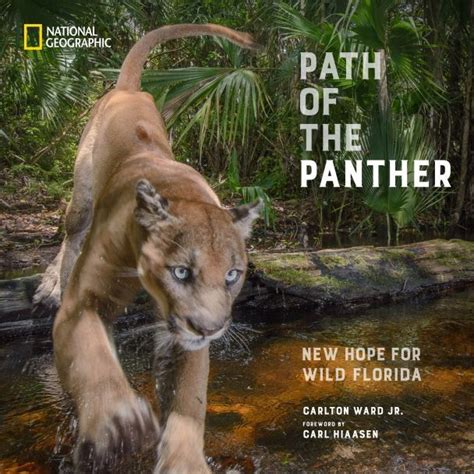 path of the panther by carlton ward jr national geographic books